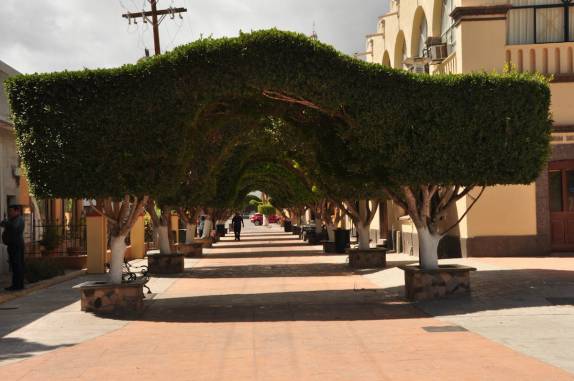 Alameda peatonal em Loreto, na Baja California - México